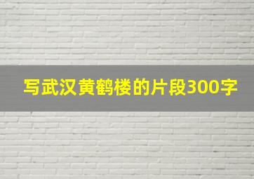 写武汉黄鹤楼的片段300字