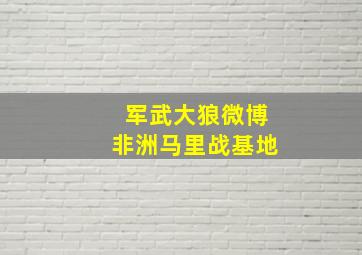 军武大狼微博非洲马里战基地