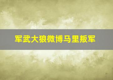 军武大狼微博马里叛军