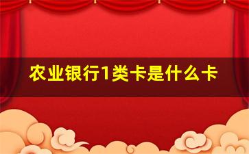 农业银行1类卡是什么卡