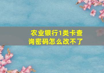 农业银行1类卡查询密码怎么改不了