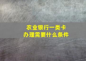 农业银行一类卡办理需要什么条件