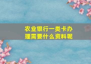 农业银行一类卡办理需要什么资料呢