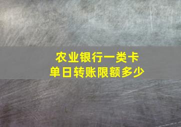 农业银行一类卡单日转账限额多少