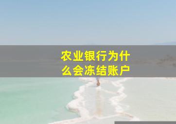 农业银行为什么会冻结账户