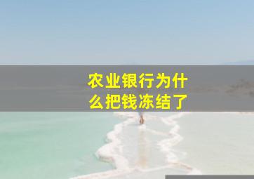 农业银行为什么把钱冻结了