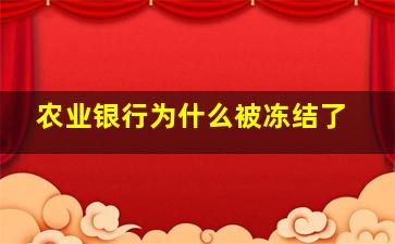 农业银行为什么被冻结了