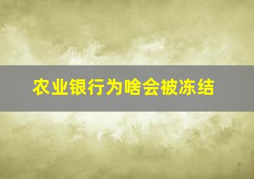 农业银行为啥会被冻结