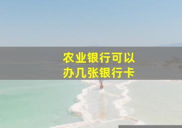 农业银行可以办几张银行卡