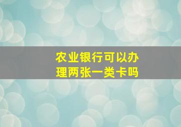 农业银行可以办理两张一类卡吗