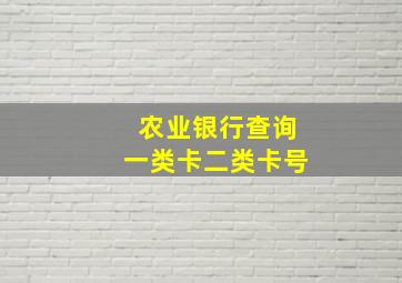 农业银行查询一类卡二类卡号