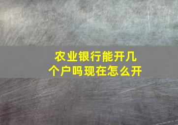 农业银行能开几个户吗现在怎么开