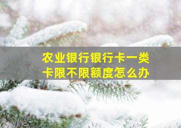 农业银行银行卡一类卡限不限额度怎么办