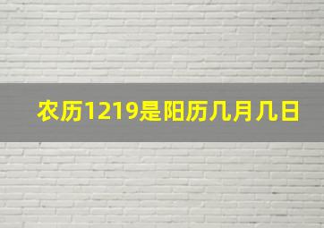 农历1219是阳历几月几日