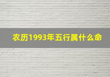 农历1993年五行属什么命