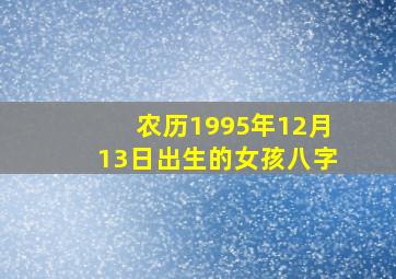 农历1995年12月13日出生的女孩八字