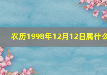 农历1998年12月12日属什么