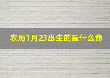 农历1月23出生的是什么命