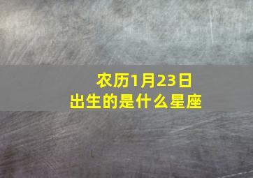 农历1月23日出生的是什么星座