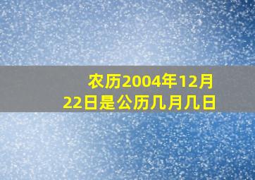 农历2004年12月22日是公历几月几日