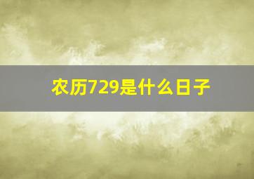 农历729是什么日子