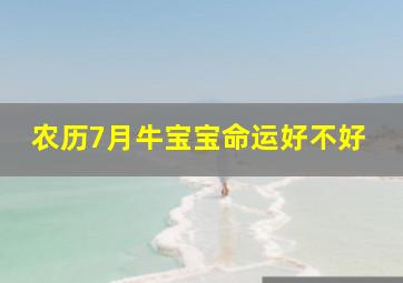 农历7月牛宝宝命运好不好