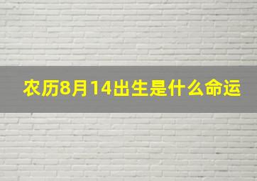 农历8月14出生是什么命运