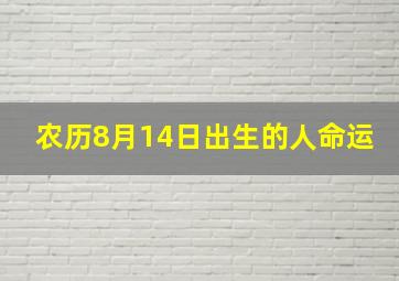 农历8月14日出生的人命运