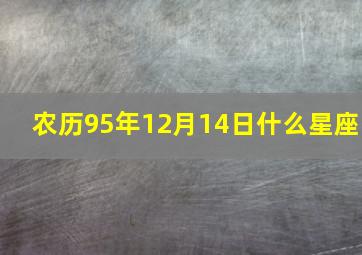 农历95年12月14日什么星座