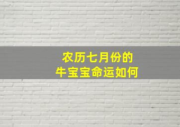 农历七月份的牛宝宝命运如何