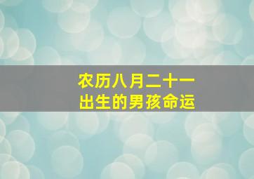 农历八月二十一出生的男孩命运