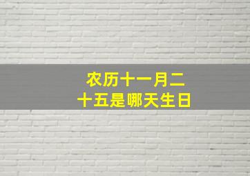 农历十一月二十五是哪天生日