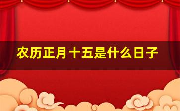 农历正月十五是什么日子