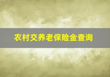 农村交养老保险金查询