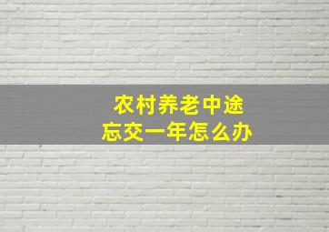 农村养老中途忘交一年怎么办