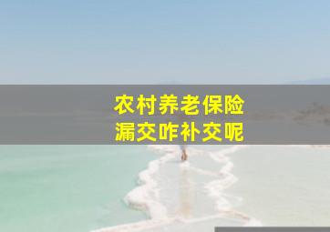 农村养老保险漏交咋补交呢