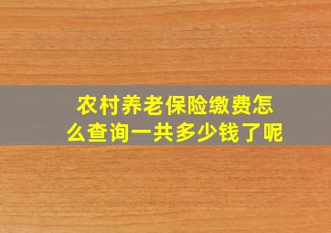 农村养老保险缴费怎么查询一共多少钱了呢