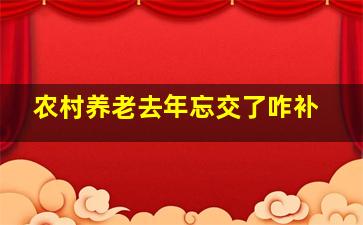 农村养老去年忘交了咋补