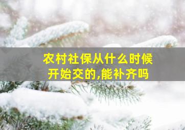 农村社保从什么时候开始交的,能补齐吗