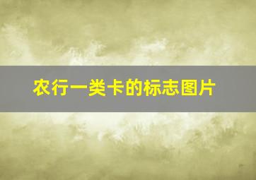 农行一类卡的标志图片