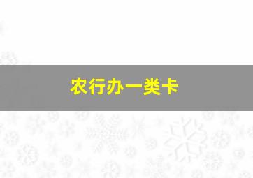 农行办一类卡