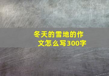 冬天的雪地的作文怎么写300字