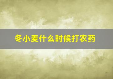 冬小麦什么时候打农药