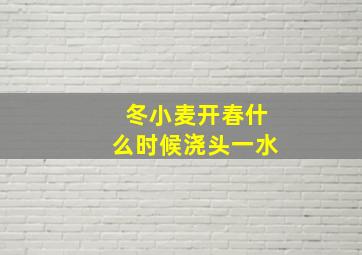 冬小麦开春什么时候浇头一水