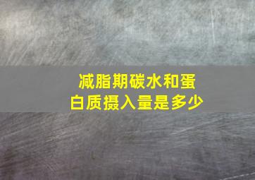 减脂期碳水和蛋白质摄入量是多少