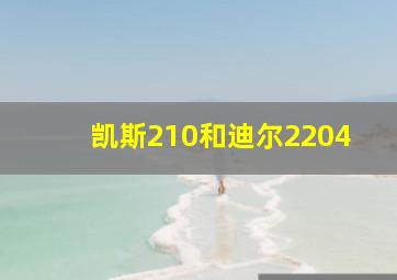 凯斯210和迪尔2204