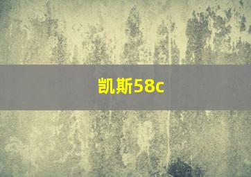 凯斯58c