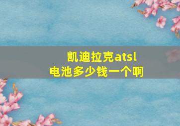 凯迪拉克atsl电池多少钱一个啊