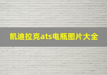 凯迪拉克ats电瓶图片大全