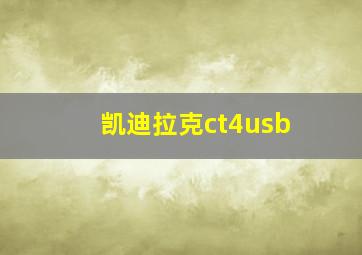 凯迪拉克ct4usb